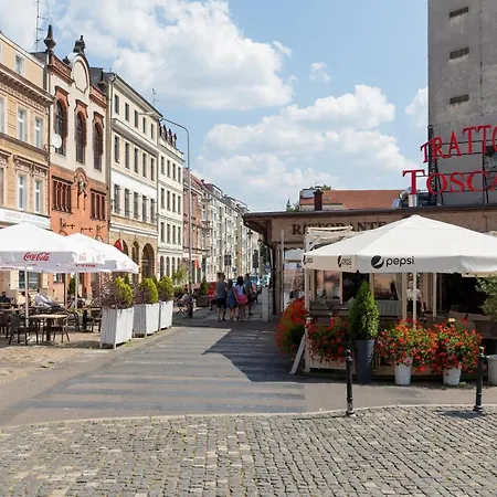 شقة Gryf W Sercu Szczecina-sannel For Rent